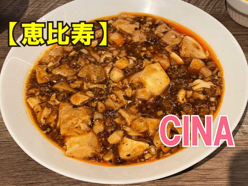 CINA New Modern Chinese