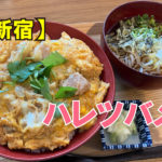 焼鳥ハレツバメ
